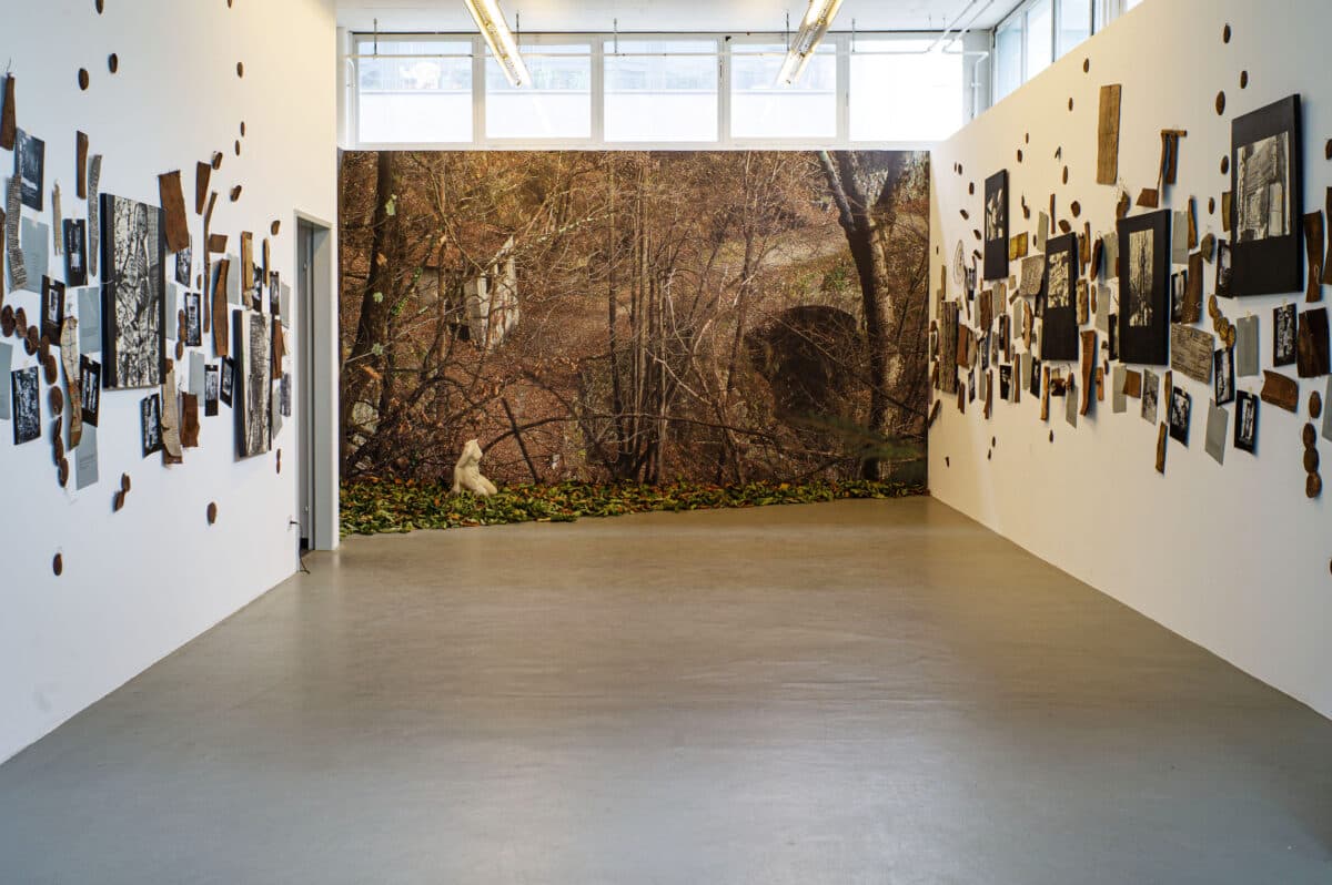 Edizioni Galleria Periferia